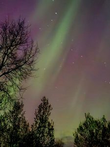 IMG_20240924_145914